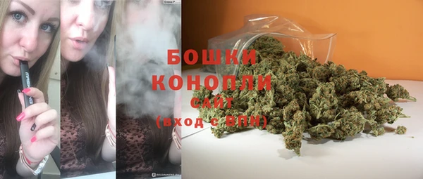 твердый Богданович