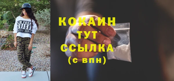 твердый Богданович