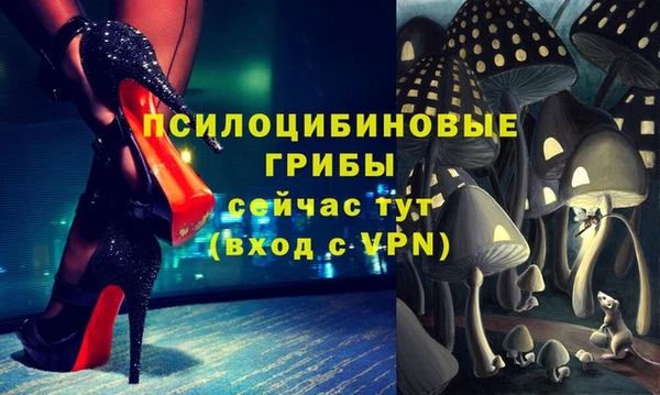 твердый Богданович