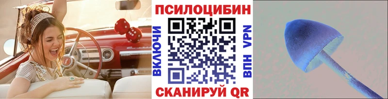наркотики  Саяногорск  Псилоцибиновые грибы прущие грибы 